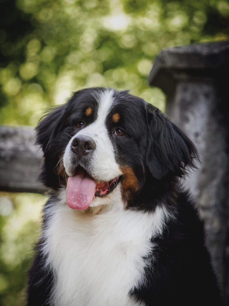 20200813 IMG 8031 Scaled E1768384224913 767x1024