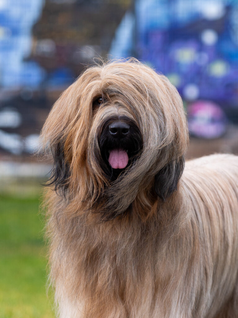 388A0992 E1768384256968 768x1024