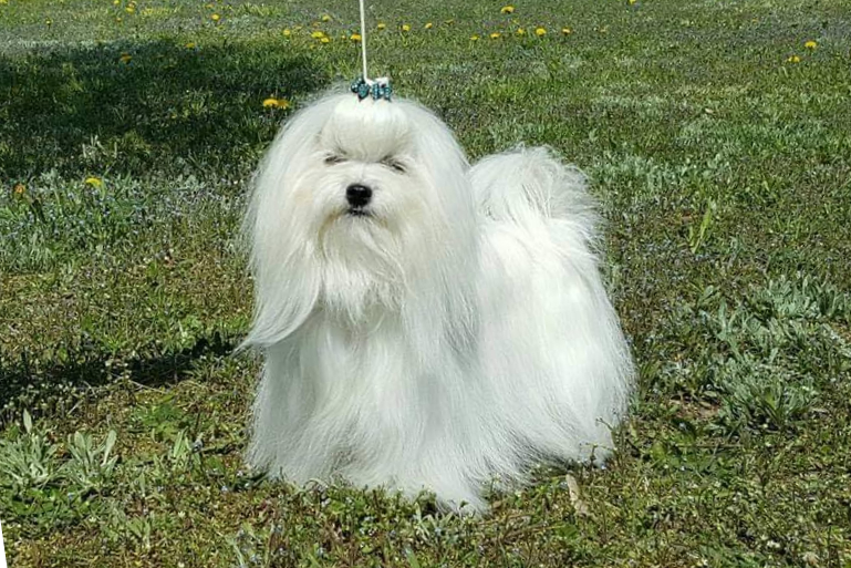 46941014 1926933524086708 3610139463641989120 n