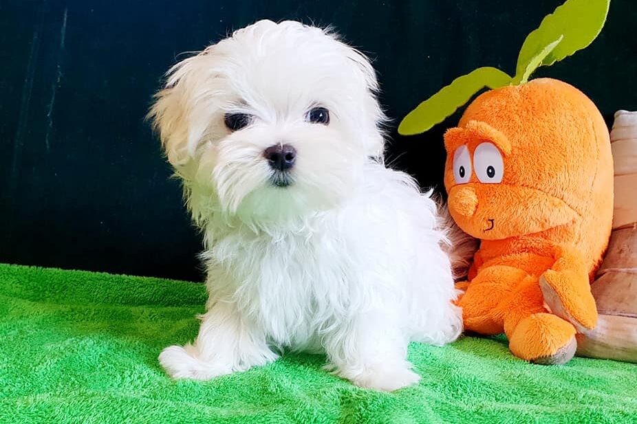 477777036 9164189010340301 8702011037169556660 n