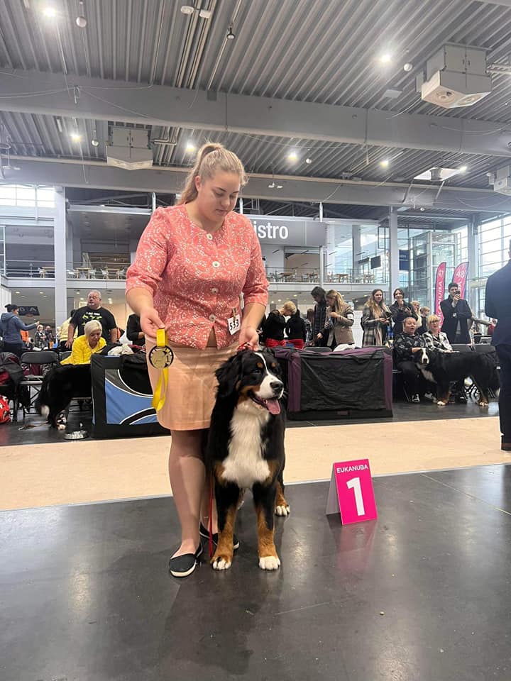 484308906 3018977424945164 4445358933380075872 n