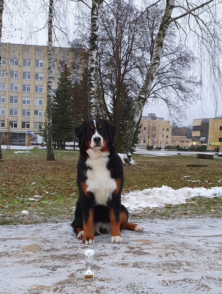 485353691 3020817411427832 2160202942649446815 n