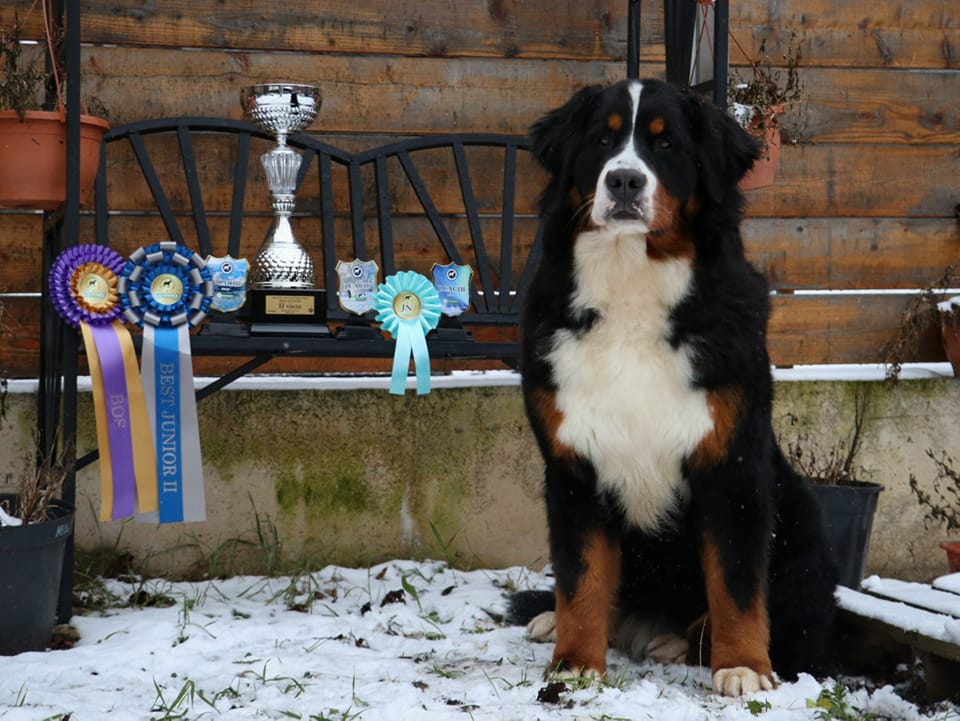 485793492 3023708521138721 7859613043472484733 n