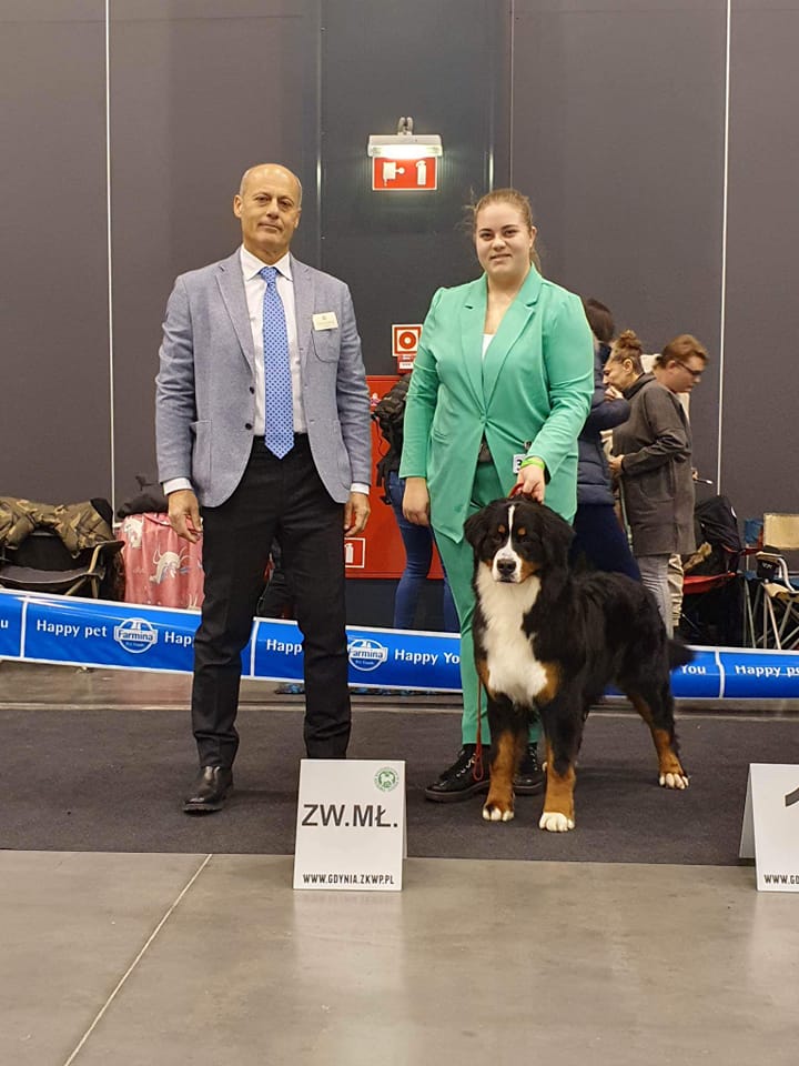 486040841 3022812497894990 9116941914499301092 n