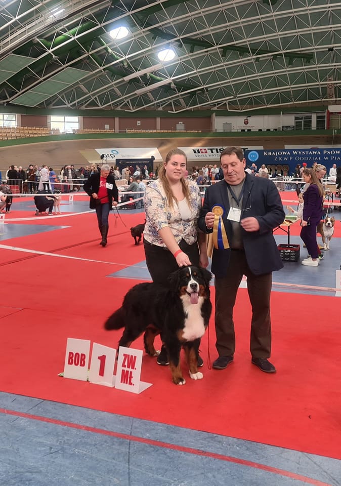 486444797 3025918297584410 3358825391583581976 n