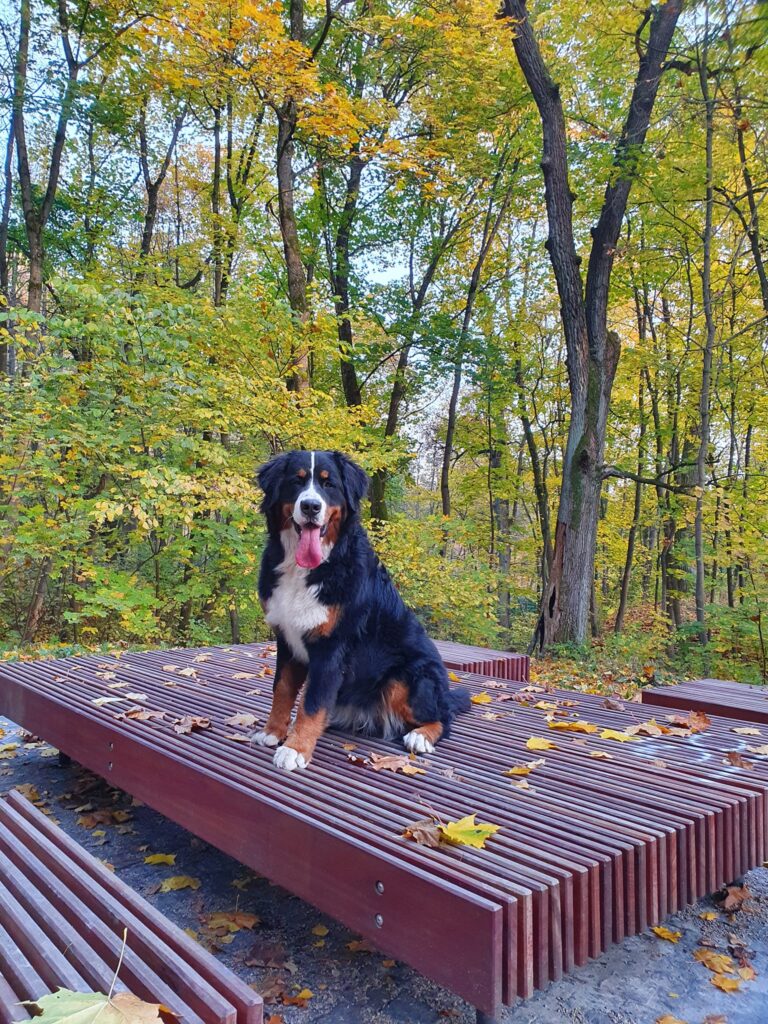 487464131 9479560552136477 7292791838393215599 n