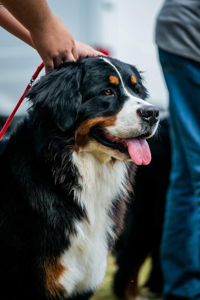 488561020 3035465176629722 7476350398035832212 n