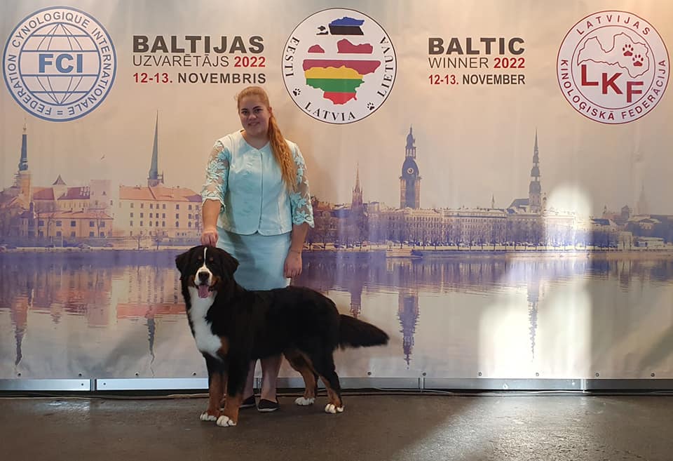 488870318 9493521277407071 6222575437422626121 n