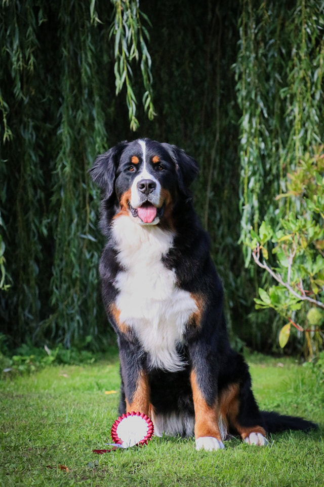 488886054 1253690829632113 9221581278556938983 n