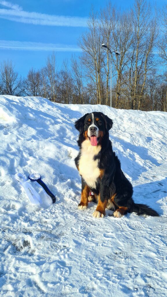 489289136 3042312835944956 7961807970126899189 n