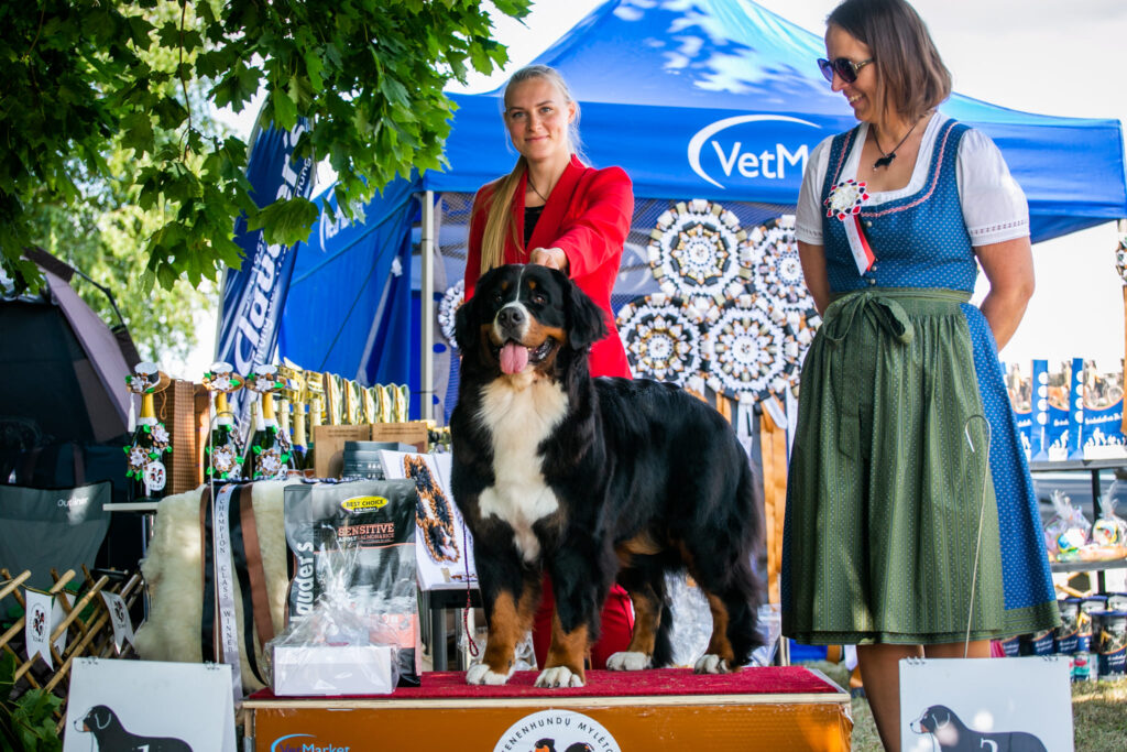 489960010 3121273198048981 1911228341247026082 n