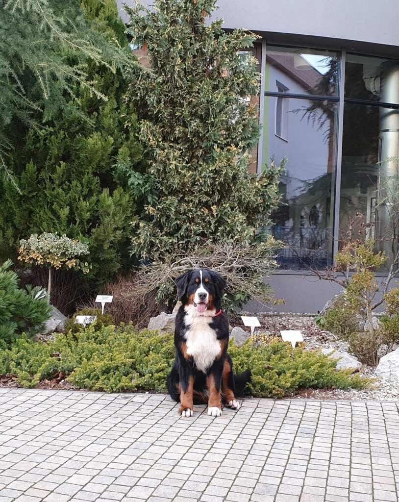 489980318 9555426427883222 3183562364174138933 n