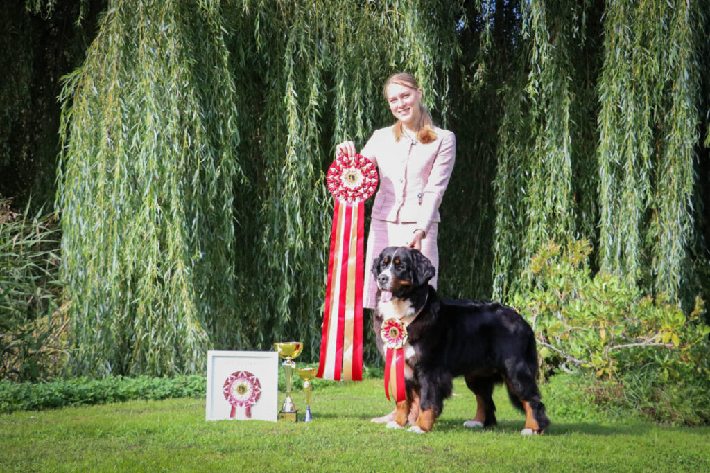 490138304 3123622997814001 3919491371632849111 n