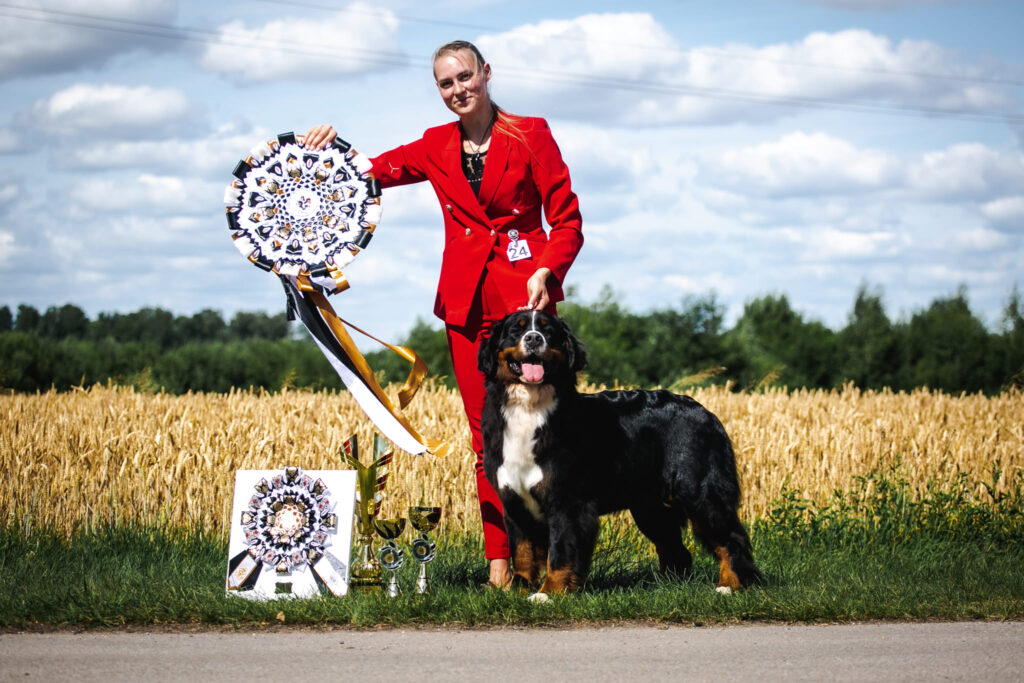 490172460 3121273081382326 5837750939230782989 n