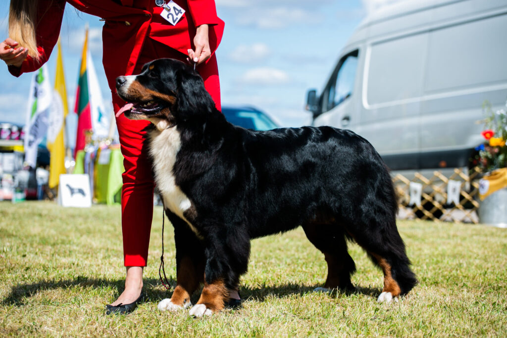 490345660 3121272914715676 6439413083145580671 n