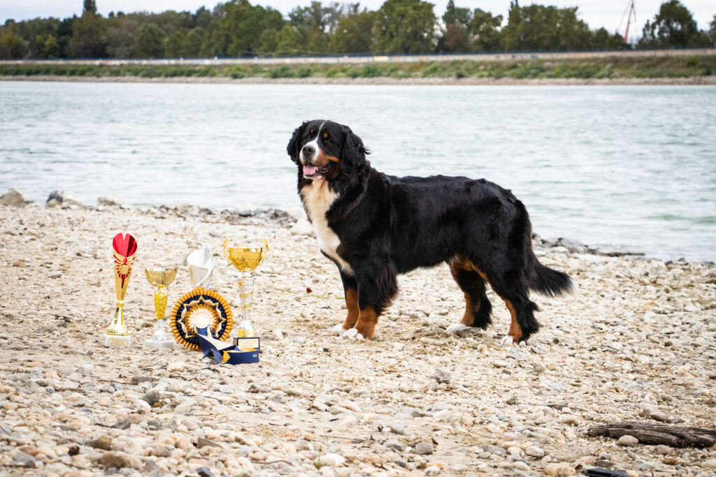 491949224 3125321917644109 1696755100057316051 n