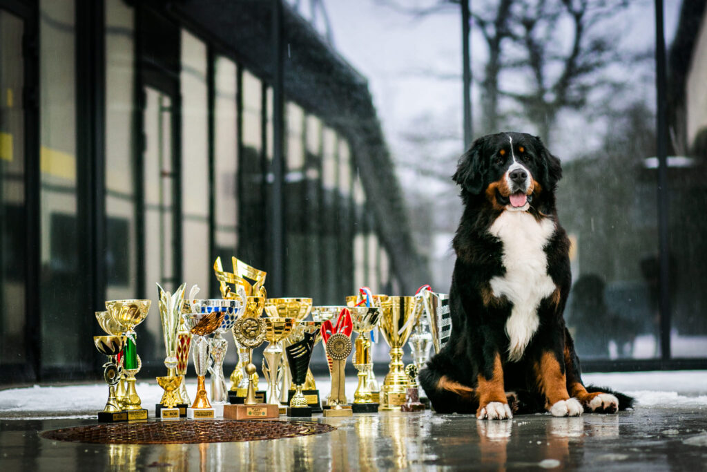 492352164 3136280933214874 7565294962219435989 n