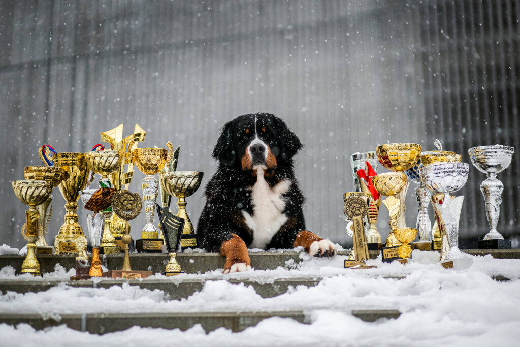 492396499 3136280899881544 7787882551004731535 n