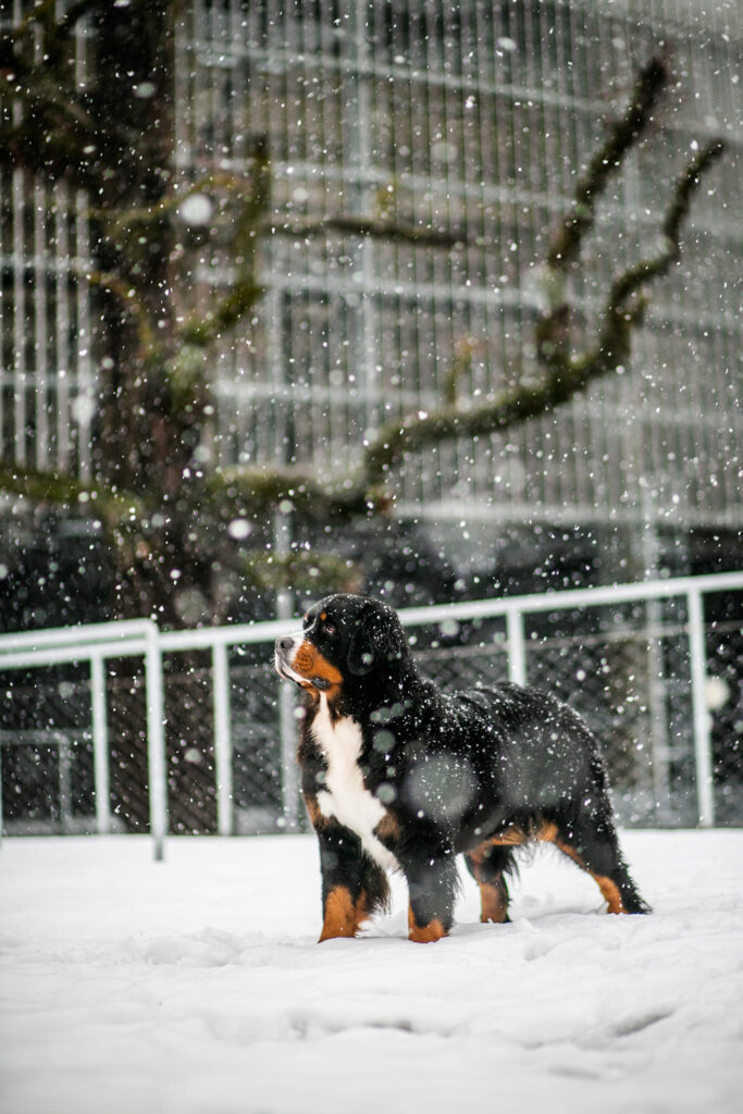 492509613 3136704286505872 4143109394780131945 n