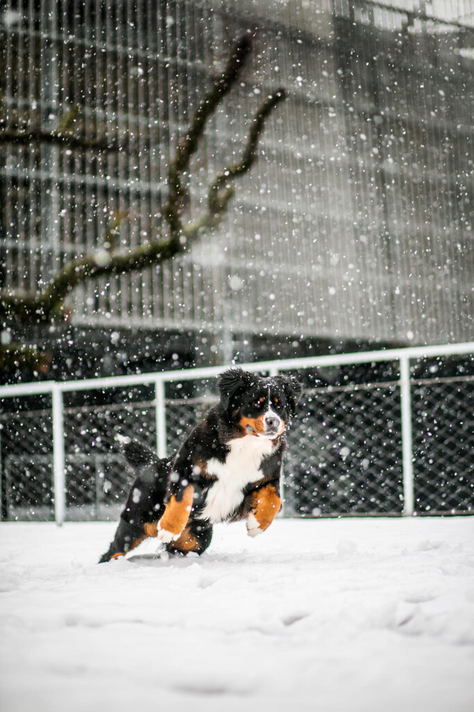 492837896 3136704396505861 5532473049490630105 n