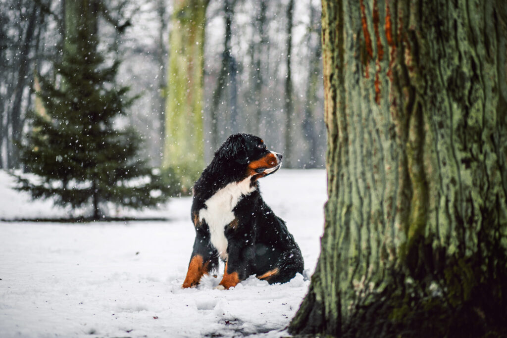 493287608 3136704279839206 2620259334615091466 n