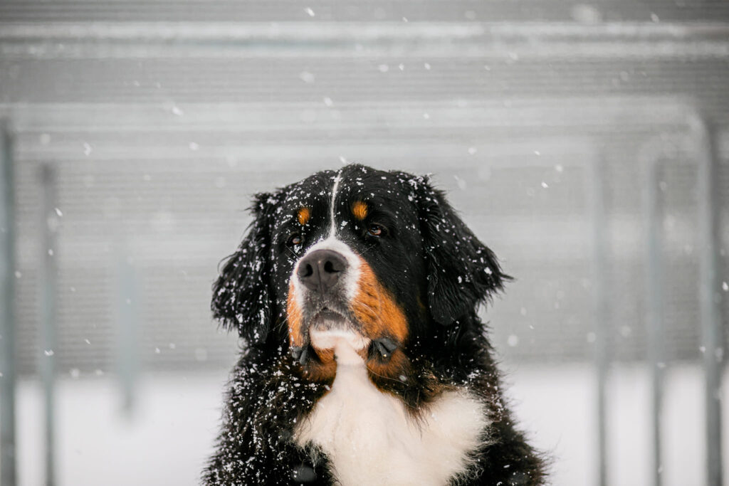 493330189 3136704276505873 780431730634025621 n