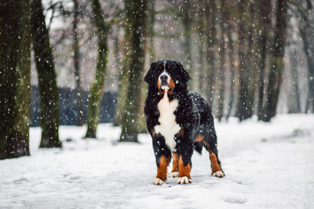 493503615 3136704359839198 7422737806081979850 n