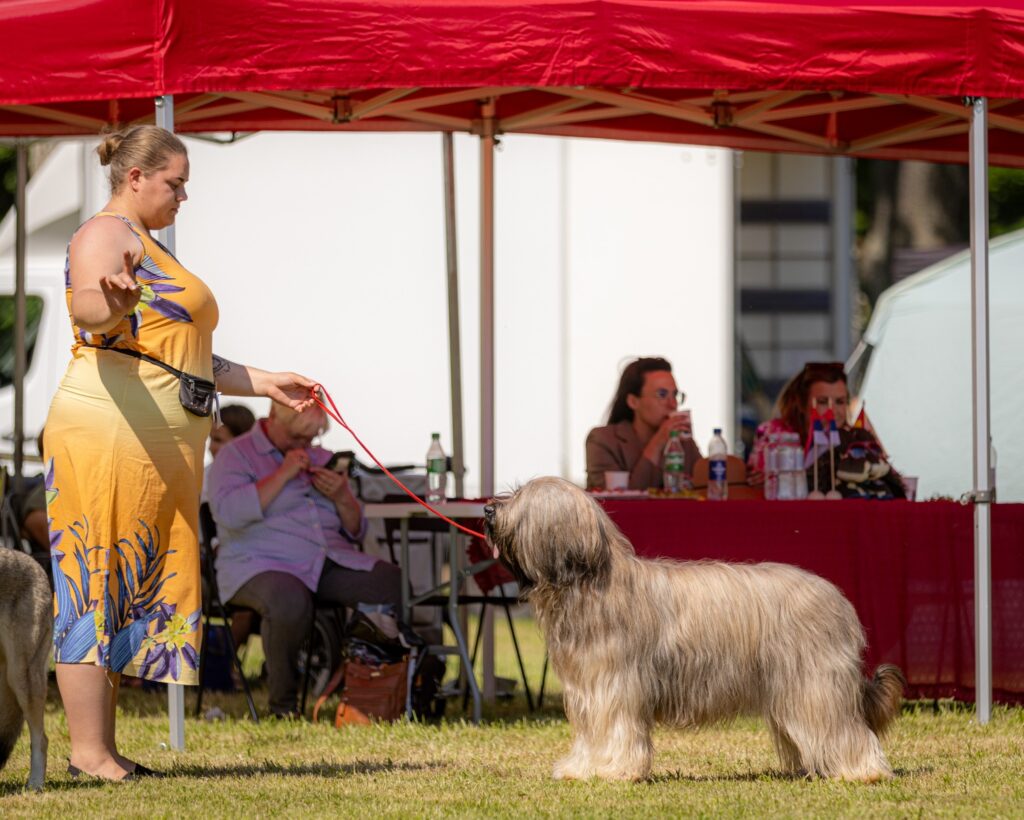 493936846 3120588144784091 3110047927118580053 n