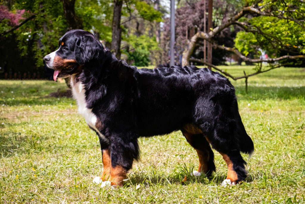 493941169 3138419006334400 8522381265768496583 n