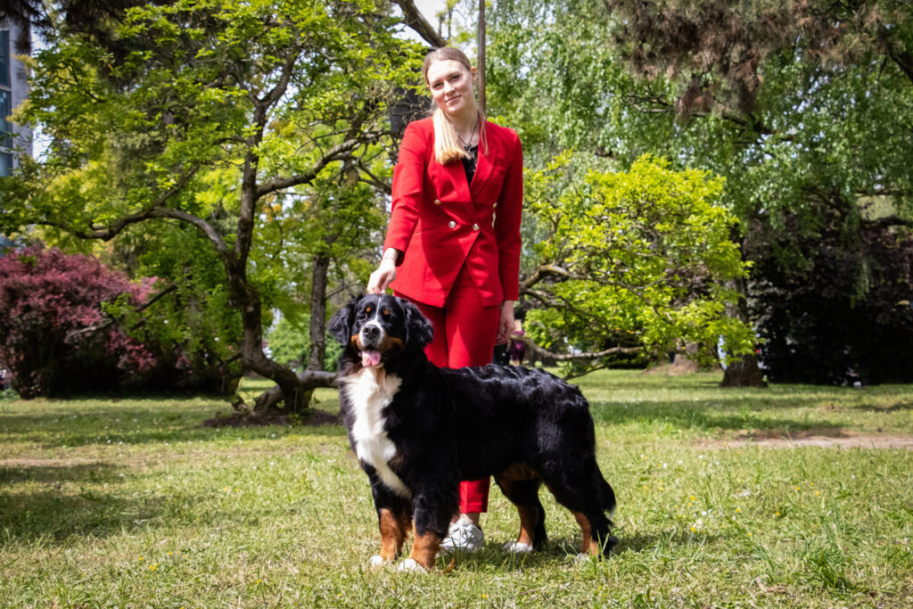 494182658 3138418963001071 5347729495225906206 n