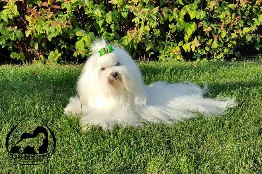 49658129 1974386779341382 2305811728966877184 n