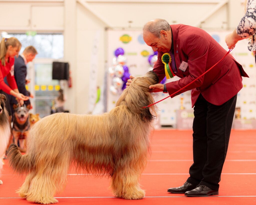 506345955 3116489725193933 7238059012288053159 n