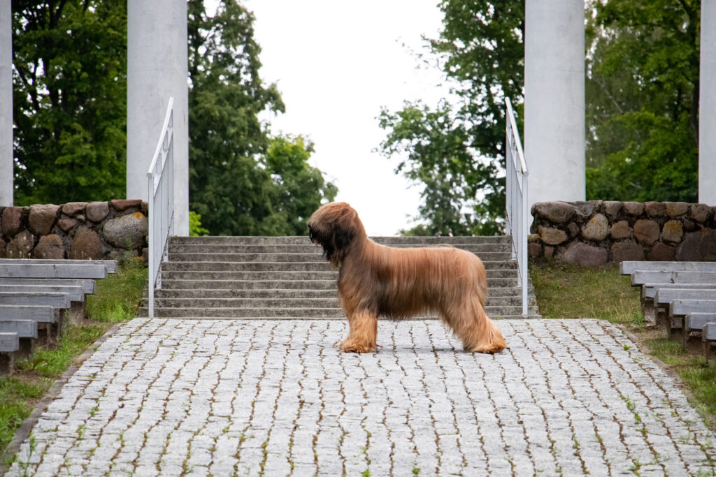 506902601 3116111118565127 4966223618860877417 n