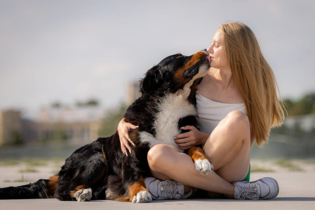 508742798 3207469499429350 7008435297448702420 n