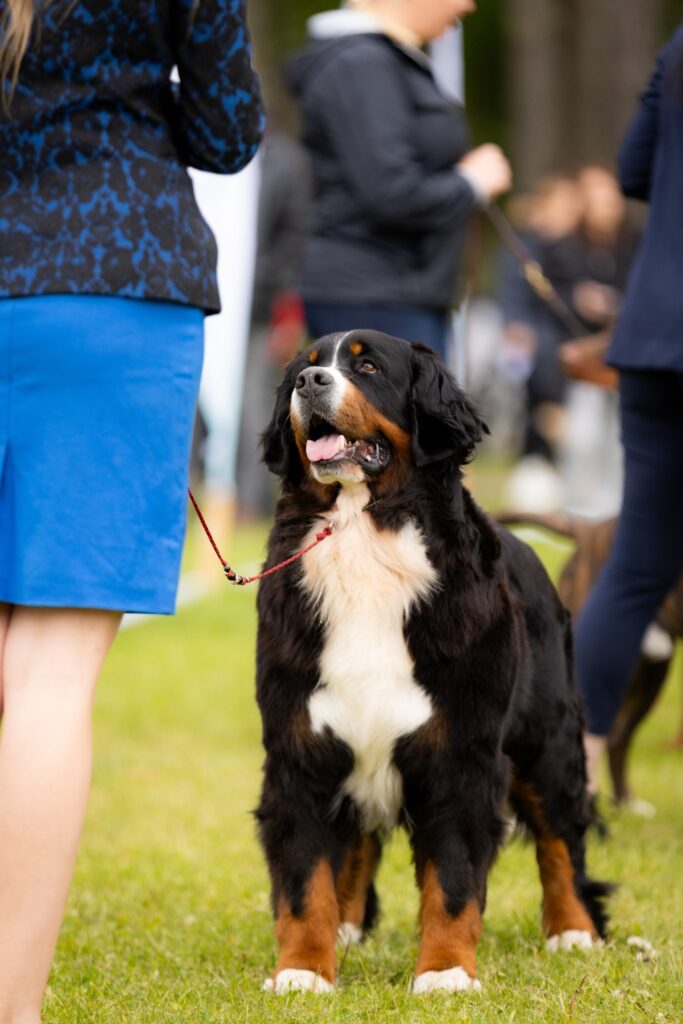 509271191 3210203962489237 1073607517563487661 n