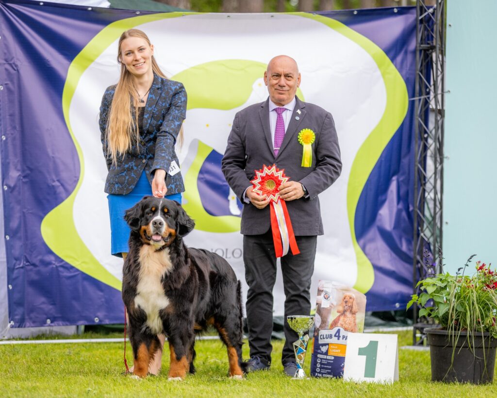 509305770 3210203985822568 621046133658041215 n