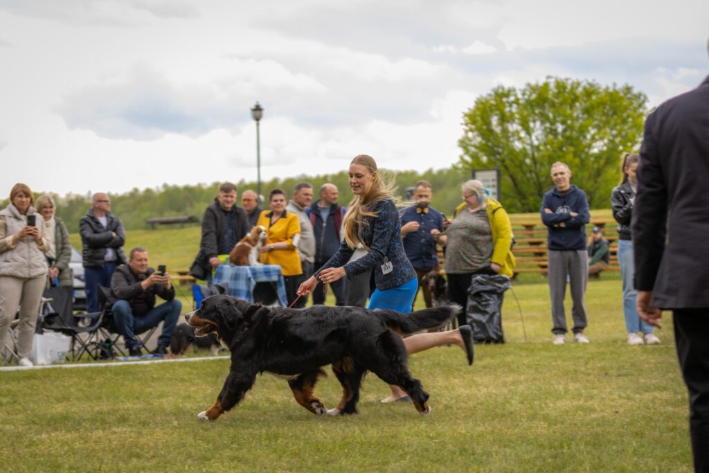 509361536 3210204055822561 3981591580826930471 n