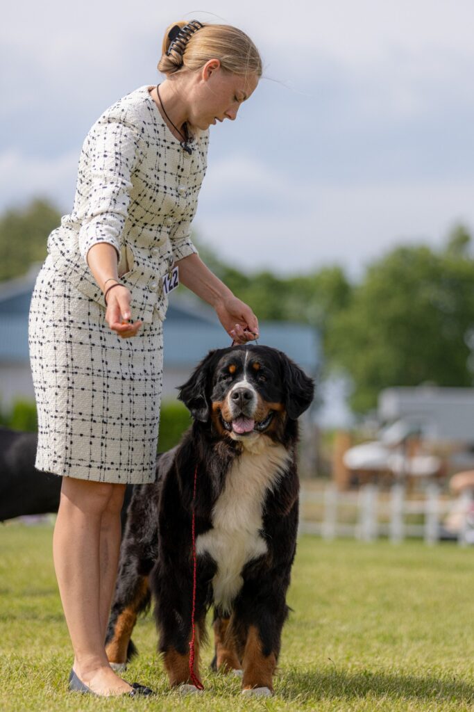 515963446 3232861526890147 5928527365481935392 n