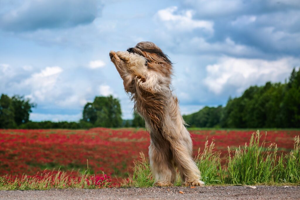 518317728 3144851815691057 8044236101453871755 n