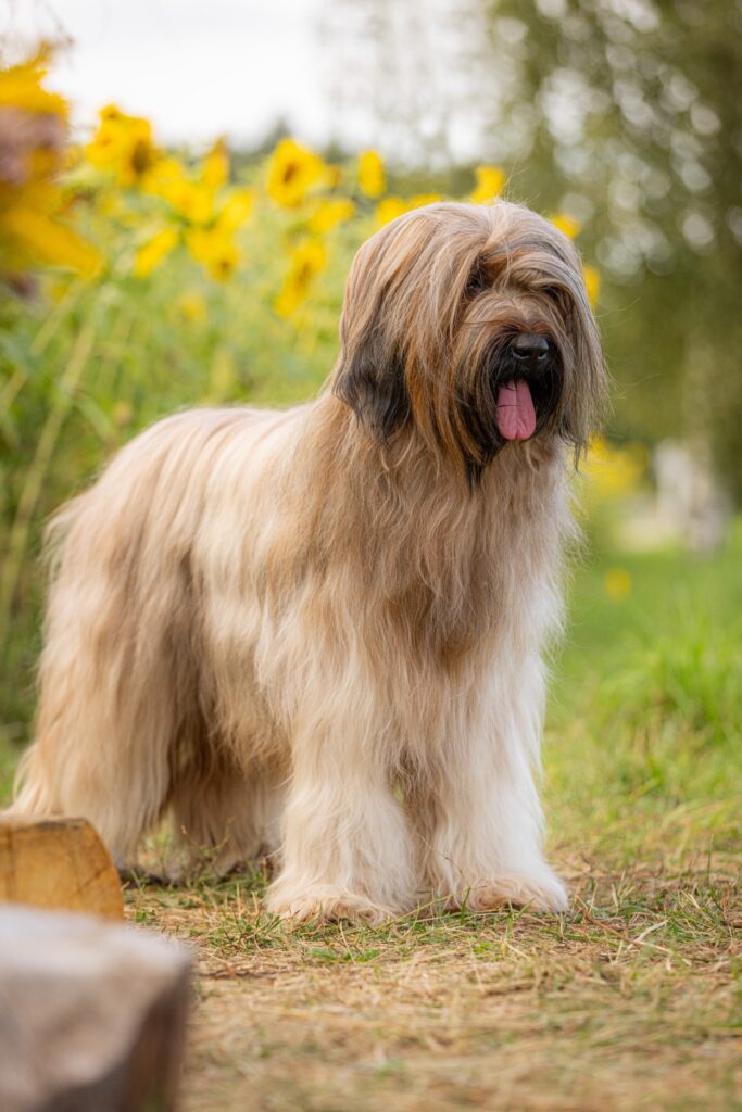 534276183 3184682425041329 7304728211728624896 n