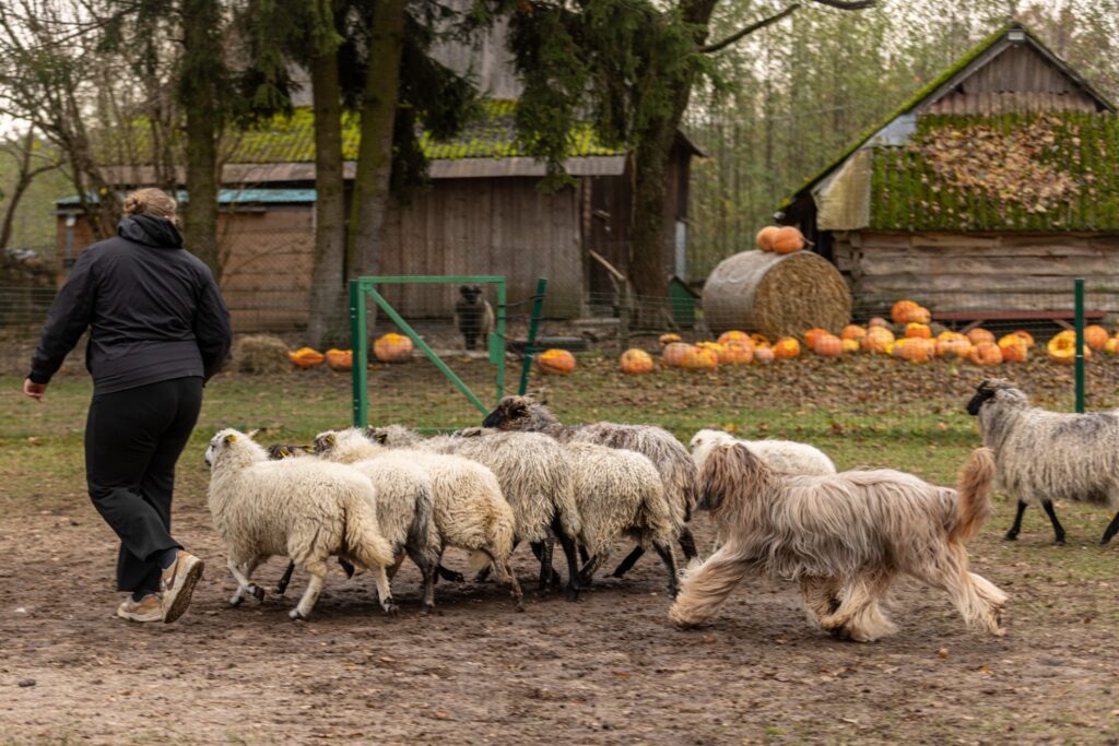 574573040 3268725896636981 9185057744177401349 n