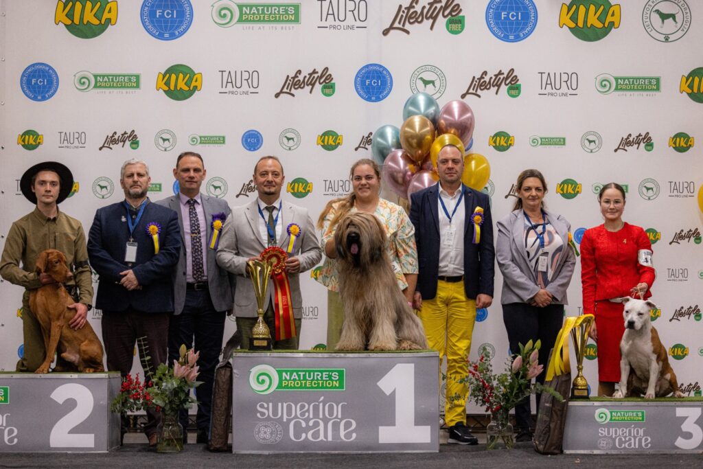 577538611 3274572632718974 1960953079195978936 n