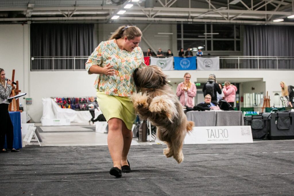 577923433 3277375449105359 2056583655290770063 n