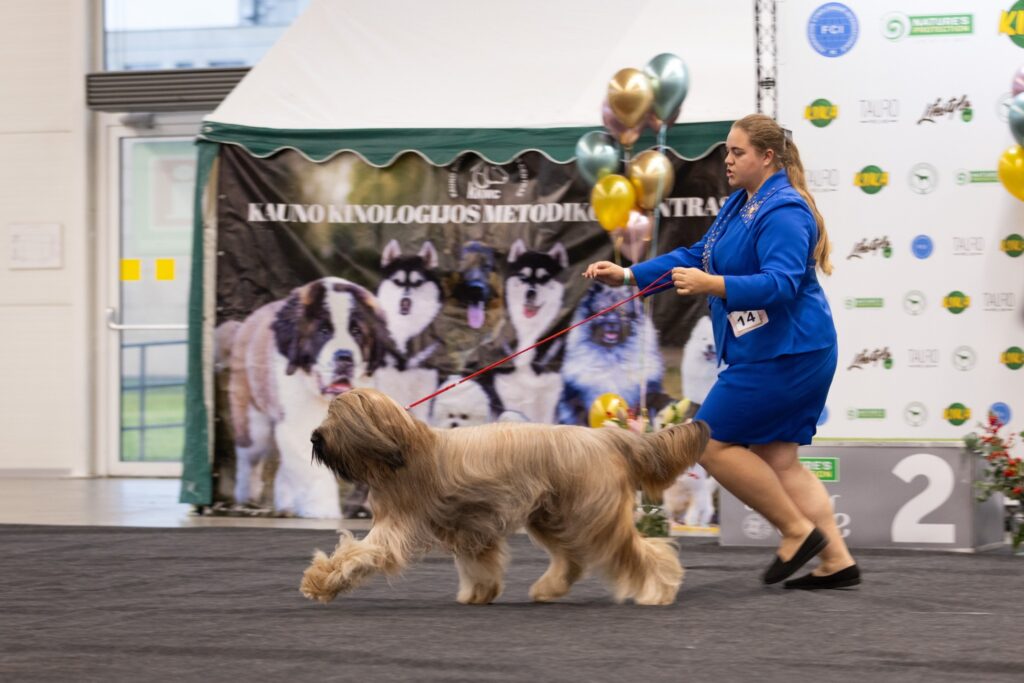 578240068 3277375392438698 968341256291979786 n