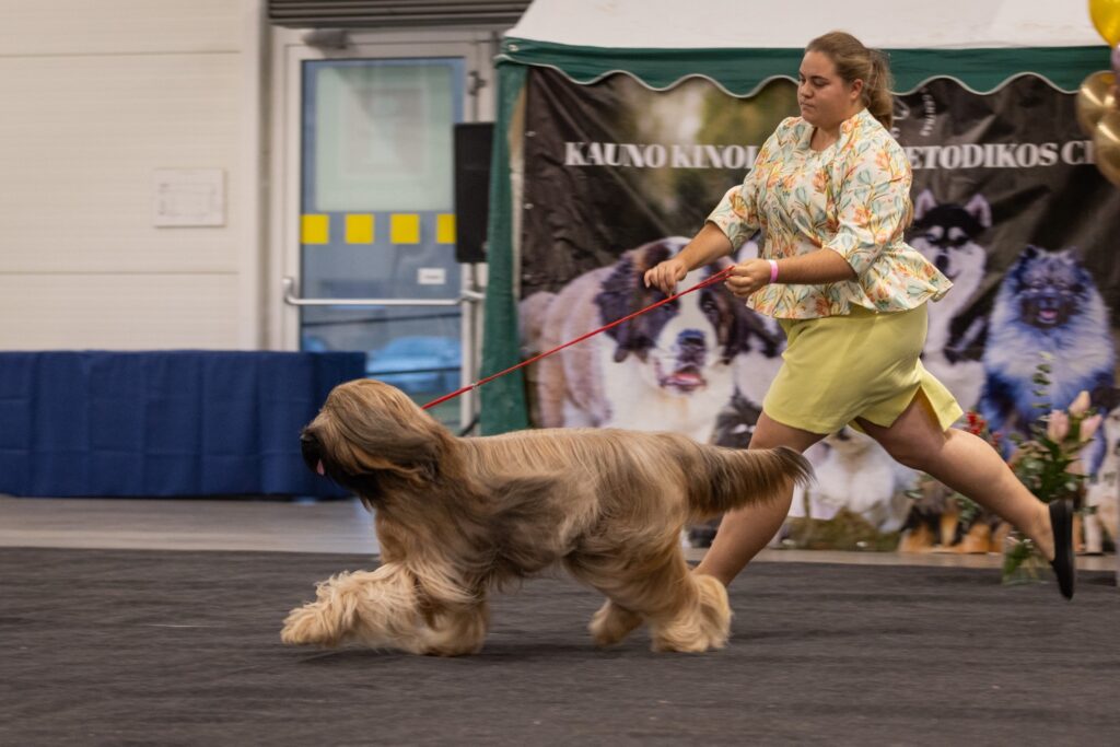 579203904 3277375342438703 5898546970746592532 n