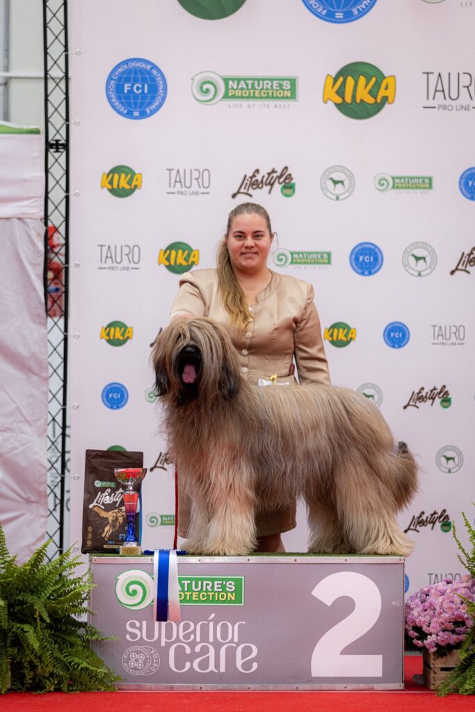 585065261 3285688431607394 1273636261791890927 n