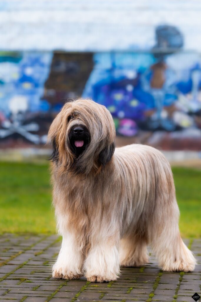 601854672 3318656648310572 8798038068669458513 n