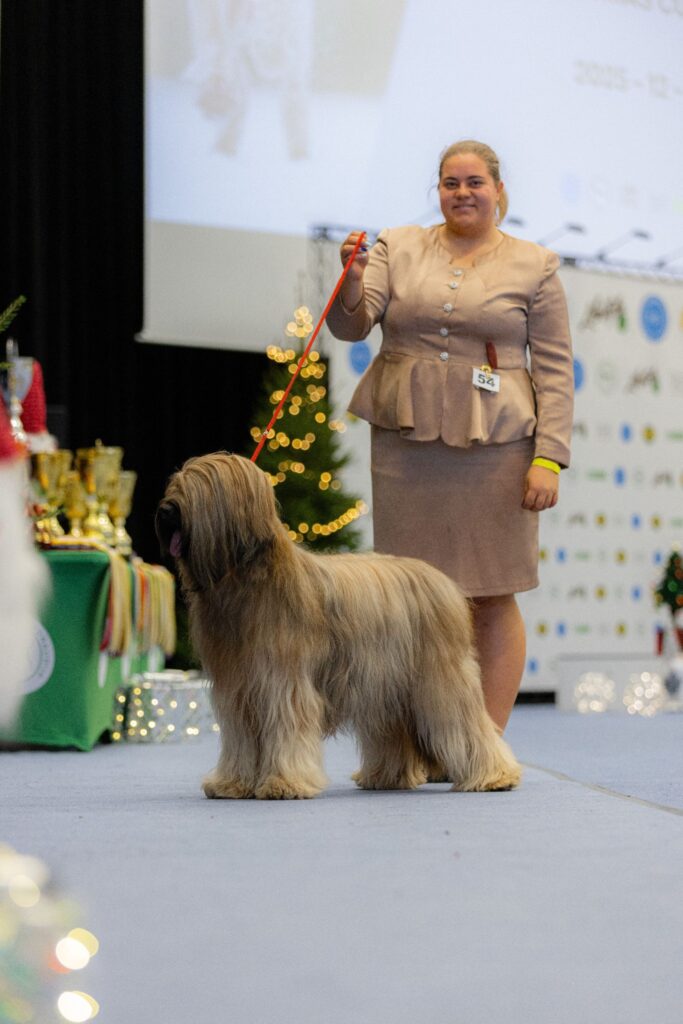 604546915 3324068131102757 1662486984626499577 n