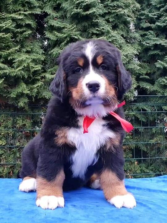 fb img 1609110737511