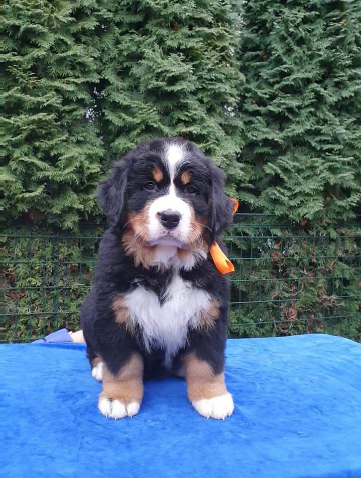 fb img 1609111036409